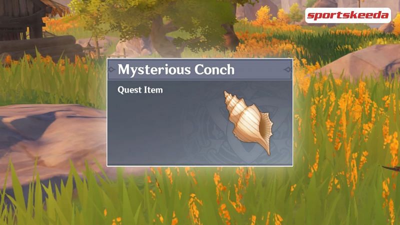 Quest Item Mysterious Conches (Image via Sportskeeda)