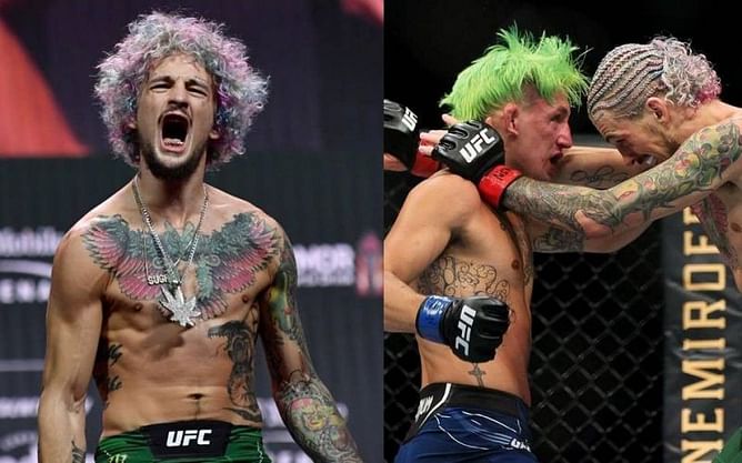 "He didn't cut that much weight" - Sean O'Malley reveals why Kris Moutinho was able to sustain a huge amount of damage during their UFC 264 fight