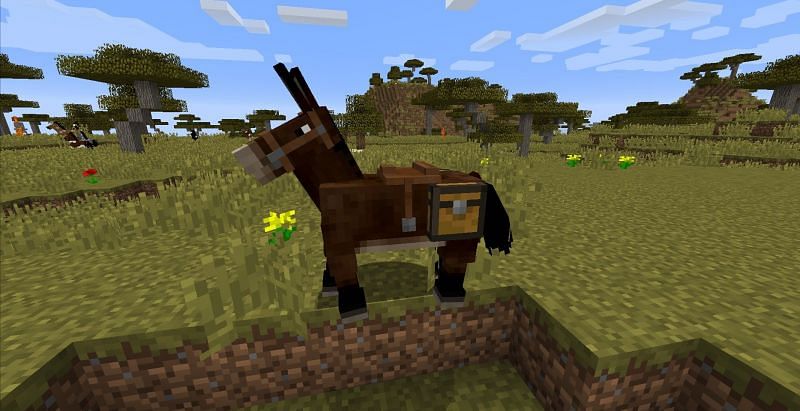 A mule in Minecraft (Image via Gamers Decide)