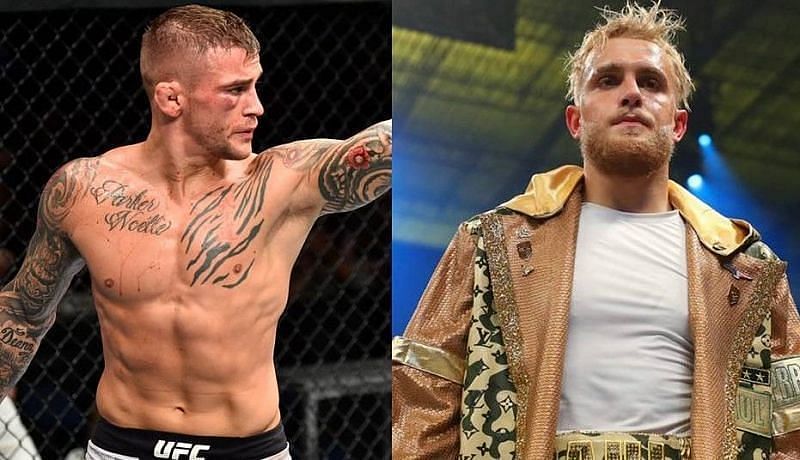 Jake Paul (right) offered a $100k gift to Dustin Poirier after his second successive victory over Conor McGregor at UFC 264
