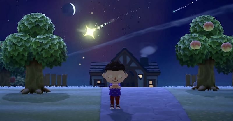 Wishing upon shooting stars in Animal Crossing: New Horizons (image via Switch Force)