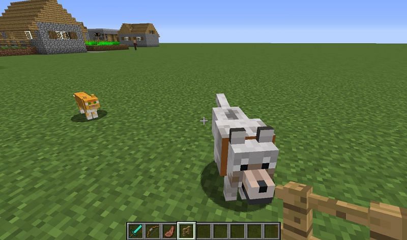 A Wolf and cat (Image via Mojang)