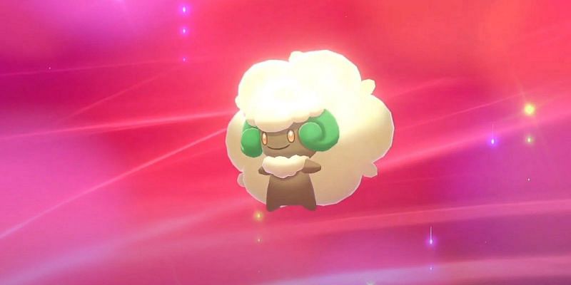 Whimsicott Appearance