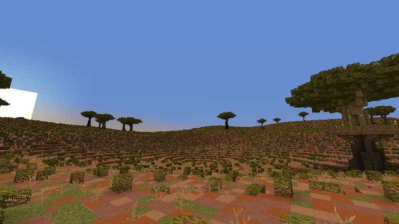 Minecraft Outback Biome (Image via Minecraft Biomes O Plenty Fandom)