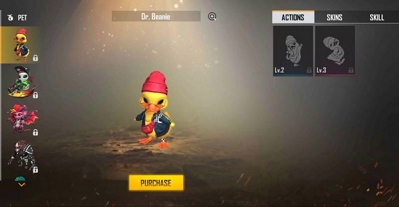Dr Beanie pet is the latest addition to the list (Image via Free Fire)
