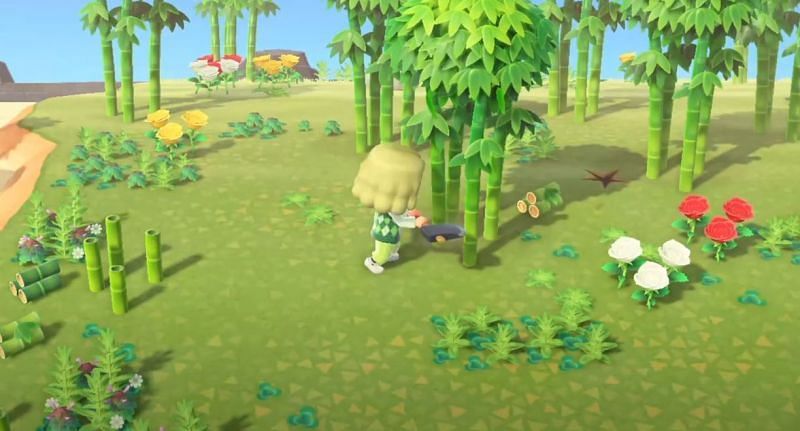 Player acquiring young spring bamboo in Animal Crossing (Image via Gamer Journalist)