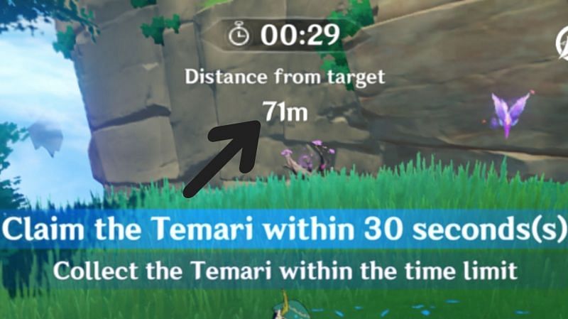 Using the distance meter to find the Temari easily