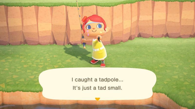 Tadpoles can be found in ponds (Image via Animal Crossing wiki)