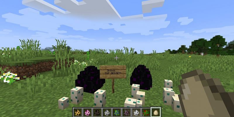 Minecraft is no stranger to secret easter eggs (Image via Minecraft)