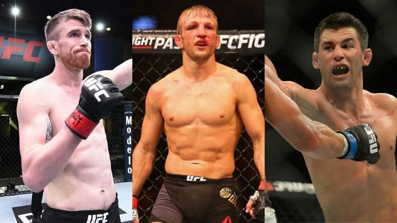 Cory Sandhagen (left), T.J. Dillashaw (center), Dominick Cruz (right)