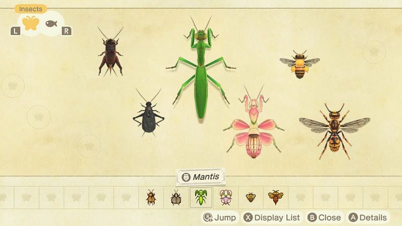Bugs in Animal Crossing. Image via Miketendo 64