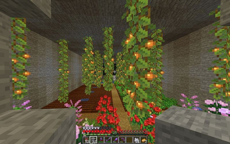 Glow berry farm built by Reddit user Rapture_