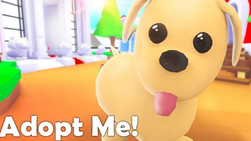 How do you get a dog in Roblox Adopt Me?