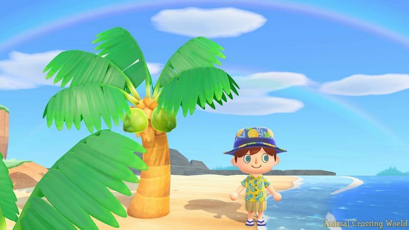 Rainbow in Animal Crossing. Image via Animal Crossing World