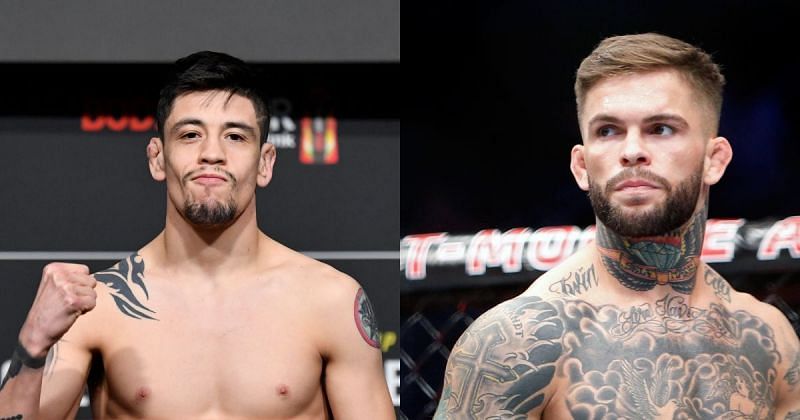 Brandon Moreno (left) could face Cody Garbrandt (right) in a flyweight title fight down the line