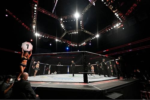 UFC octagon