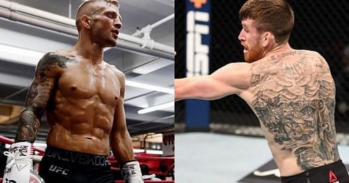 T.J. Dillashaw (left) and Cory Sandhagen (right)