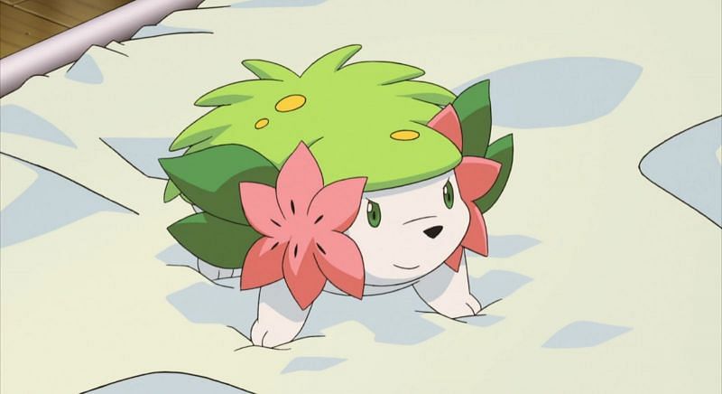 Grass and Gratitude - Catching Shaymin in Pokemon Go