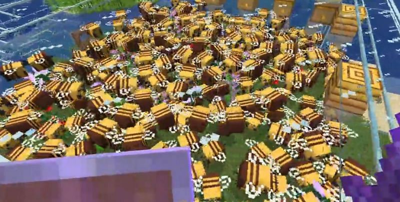 Too many bees, not enough flower (Image via Reddit)