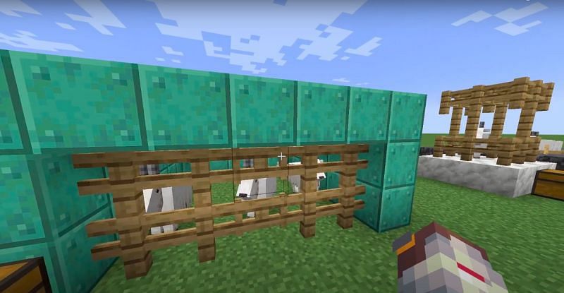 How to make a goat farm in Minecraft