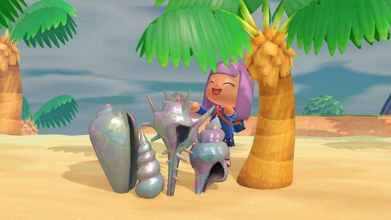 Animal Crossing shells. Image via Nintendo Life