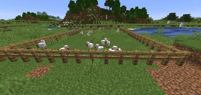 A large chicken farm (Image via minecraft.fandom)