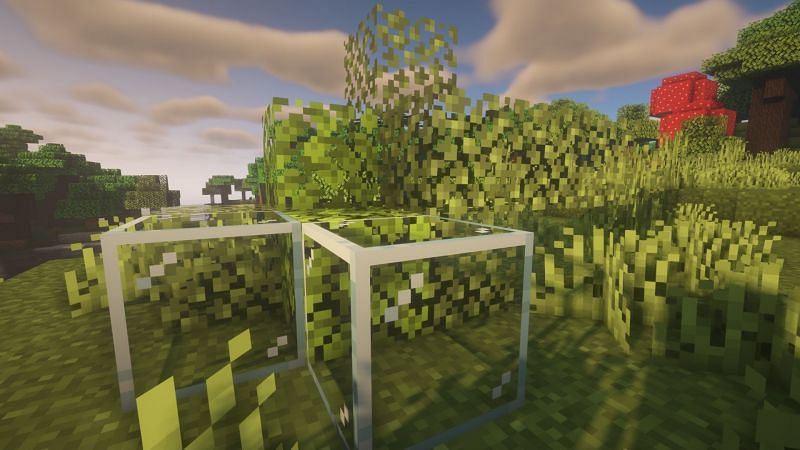 Leaves can be collected using shears (Image via Minecraft)