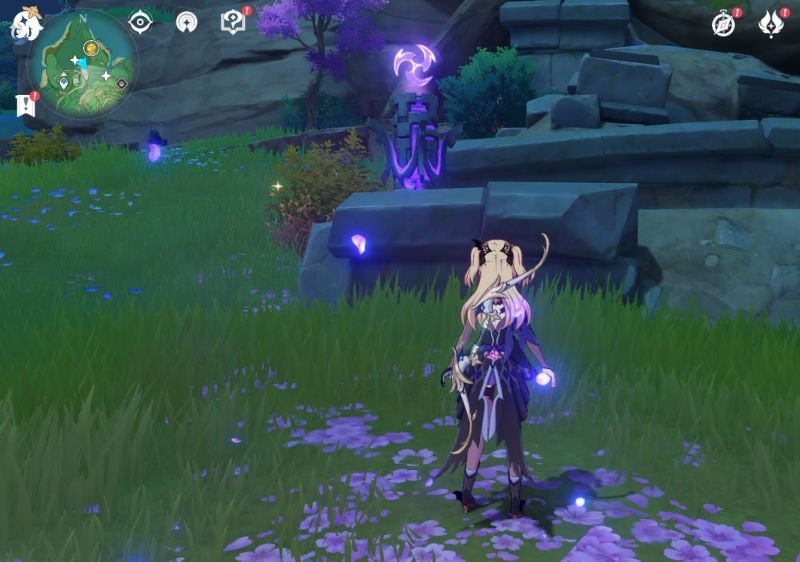 Genshin Impact Araumi Puzzle guide in Inazuma