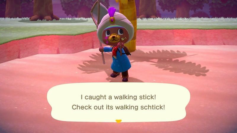 The Walking Stick bug in Animal Crossing: New Horizons is not valuable but is rather unique (Image via YouTube)