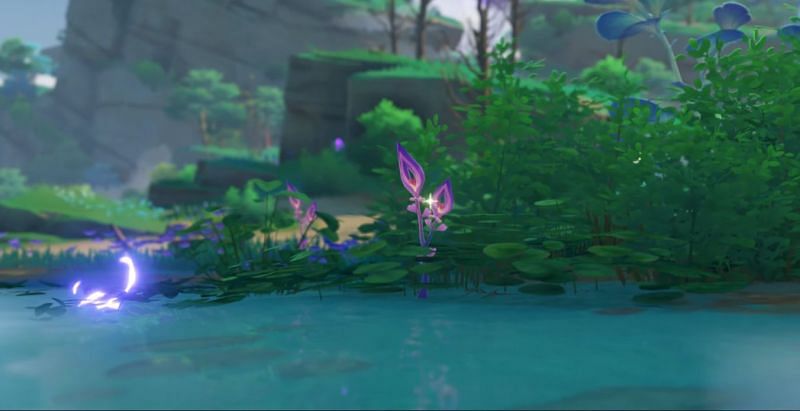 Naku Weed near a water pond in Genshin Impact (Image via Mihoyo)