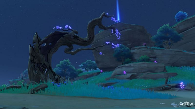 What this tree looks like (picture from Genshin Impact Wiki)