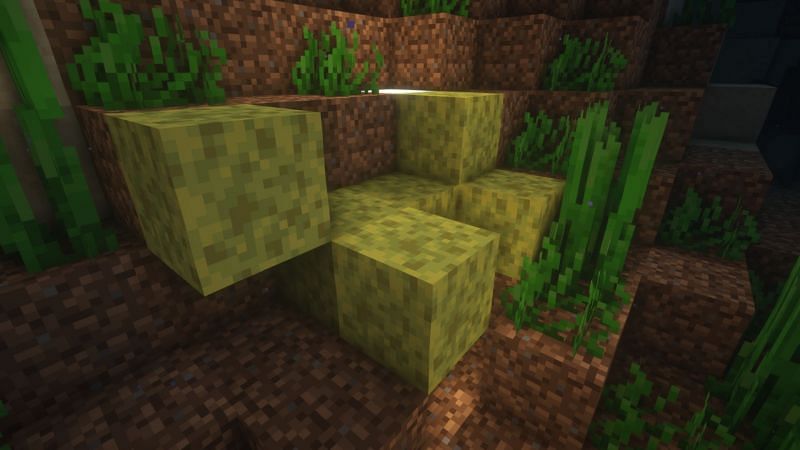 Wet sponge in the game (Image via Minecraft)