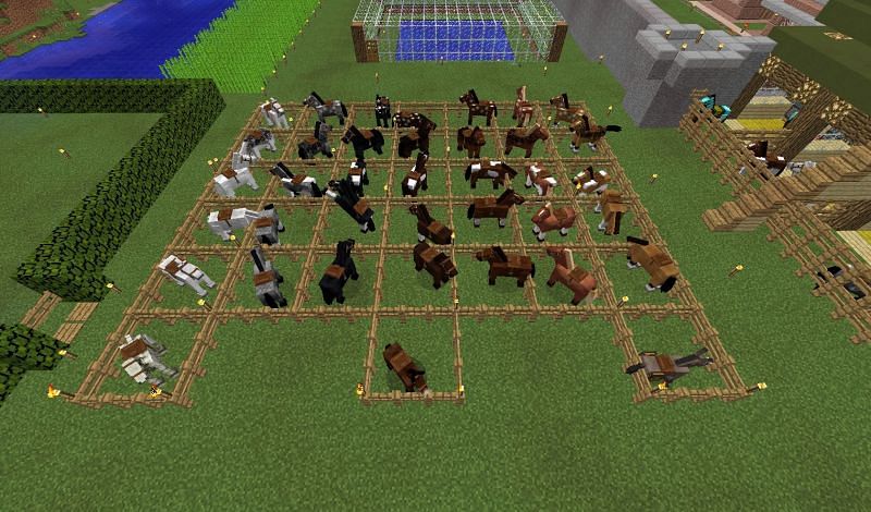 A pen of horses separated by color and stats (Image via minecraft2collection)
