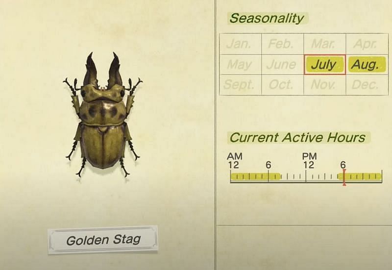 The Golden Stag, one of the most valuable bugs in Animal Crossing: New Horizons right now (Image via Animal Crossing wiki)