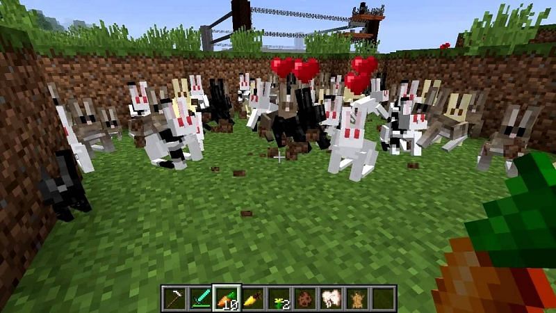 Breeding rabbits. Image via Minecraft Wiki