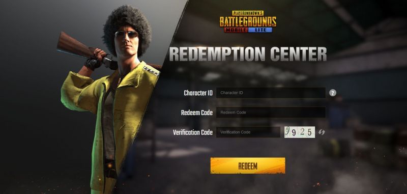 Users should enter all the details accurately in the text fields (Image via PUBG Mobile Lite)