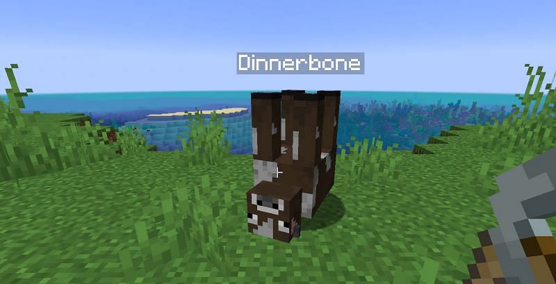 This can be a fun Easter egg to prank friends (Image via Minecraft)