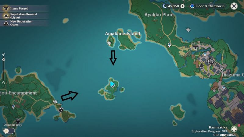 The Luxurious Chest location on the nameless island (Image via Genshin Impact)