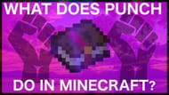 (Image via Rajcraft on Youtube)
