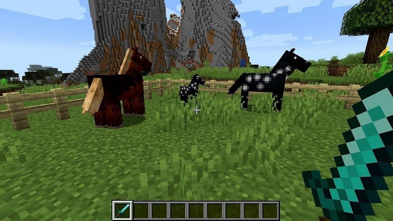 Two horses and their offspring (Image via YouTube)