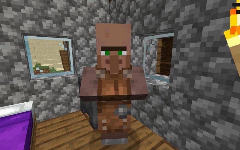 A leatherworker villager (Image via Minecraft)