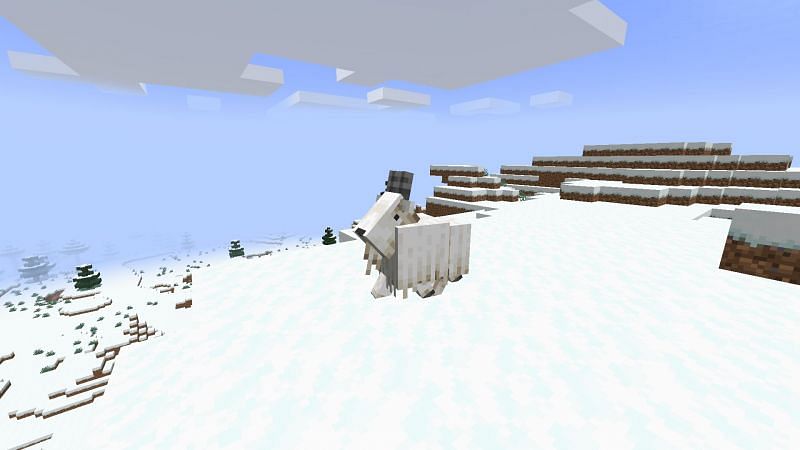 Goat chilling on snowy mountain (Image via Minecraft)