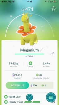 Meganium in Pokemon Go