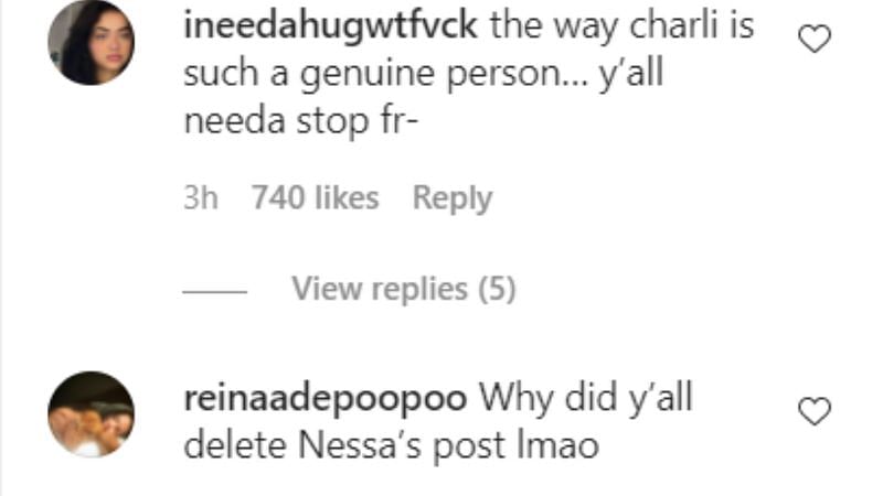 screenshot from Instagram comments (3/10)
