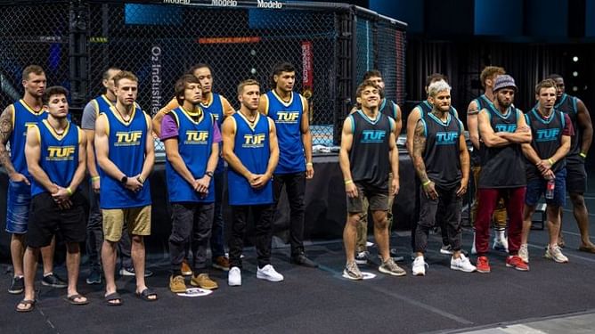 5 things we learned from episode 8 of TUF 29: Team Volkanovski vs Team Ortega