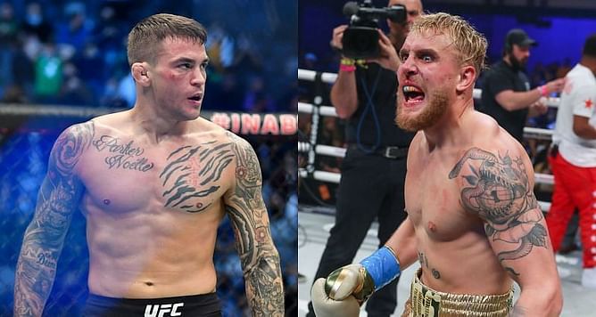 "Do you want the ankle snapped off?" - Jake Paul agrees to send Dustin Poirier the 'sleepy McGregor' chain