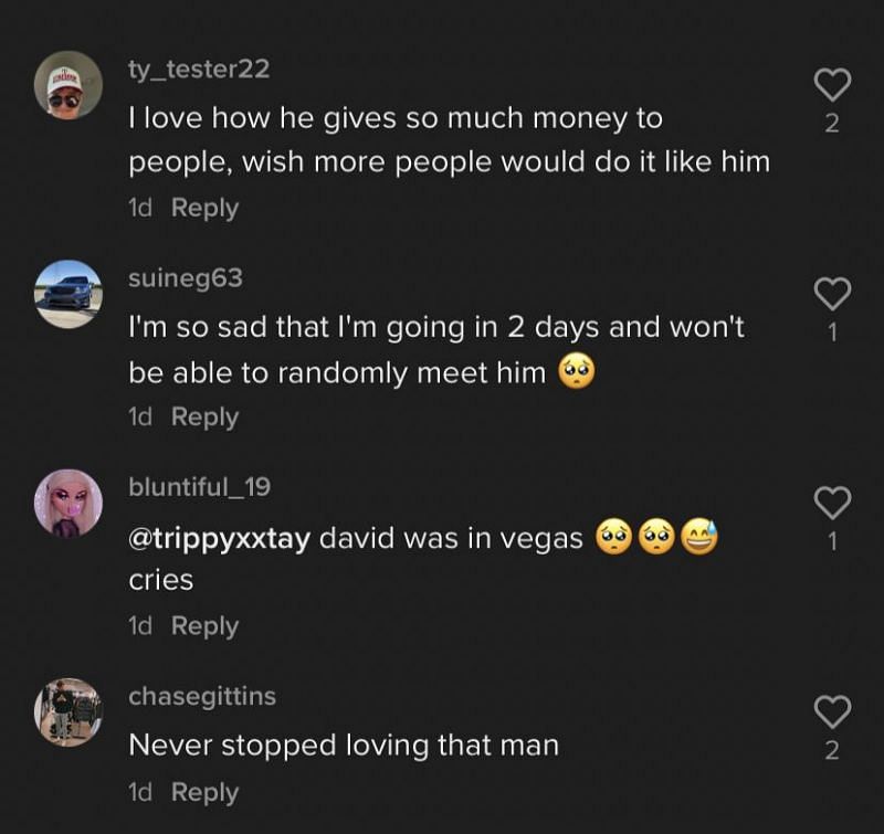 Fans take to the comments to praise David Dobrik 1/3 (Image via TikTok)