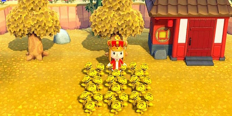 Obtaining gold roses in Animal Crossing: New Horizons explained (Image via Screen Rant)