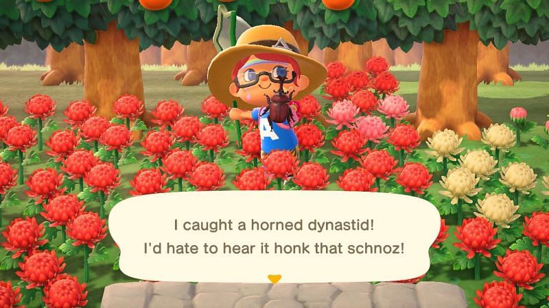 Horned Dynastids look pretty scary in Animal Crossing: New Horizons, but they&#039;re not as nasty as they look (Image via YouTube)
