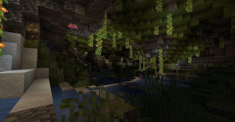 Lush cave biome (Image via Minecraft fandom)